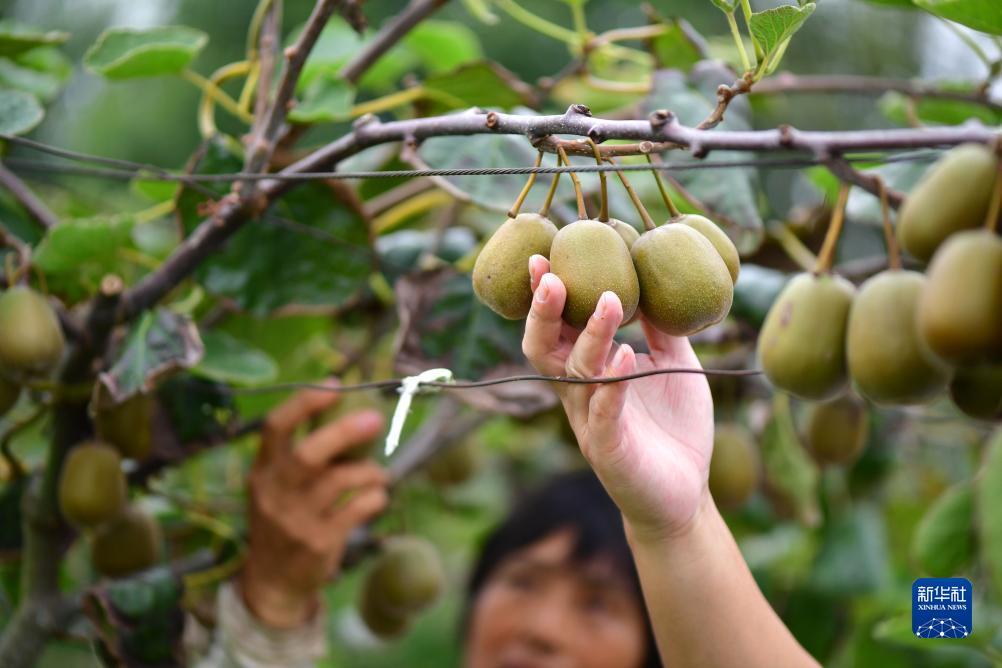 大奖网官网o2o